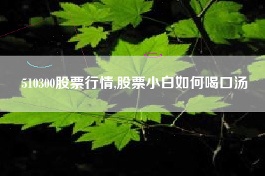510300股票行情,股票小白如何喝口汤