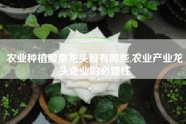 农业种植股票龙头股有哪些,农业产业龙头企业的必要性