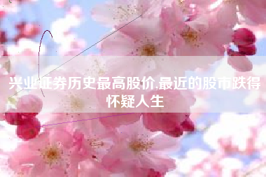 兴业证券历史最高股价,最近的股市跌得怀疑人生