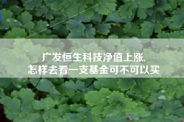 广发恒生科技净值上涨,
怎样去看一支基金可不可以买