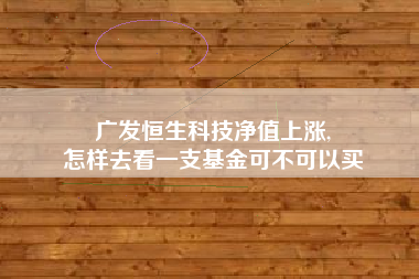 广发恒生科技净值上涨,
怎样去看一支基金可不可以买