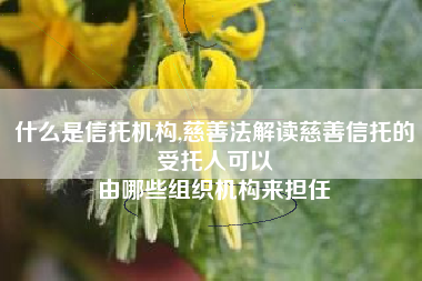 什么是信托机构,慈善法解读慈善信托的受托人可以
由哪些组织机构来担任 什么是信托机构,慈善法解读慈善信托的受托人可以
由哪些组织机构来担任