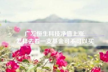 广发恒生科技净值上涨,
怎样去看一支基金可不可以买