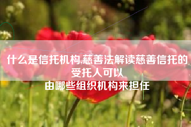 什么是信托机构,慈善法解读慈善信托的受托人可以
由哪些组织机构来担任 什么是信托机构,慈善法解读慈善信托的受托人可以
由哪些组织机构来担任