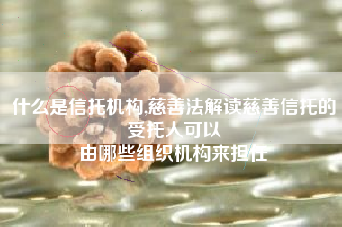 什么是信托机构,慈善法解读慈善信托的受托人可以
由哪些组织机构来担任 什么是信托机构,慈善法解读慈善信托的受托人可以
由哪些组织机构来担任