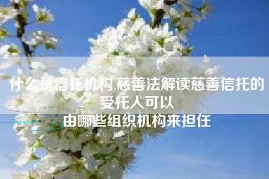 什么是信托机构,慈善法解读慈善信托的受托人可以
由哪些组织机构来担任 什么是信托机构,慈善法解读慈善信托的受托人可以
由哪些组织机构来担任