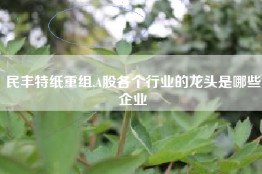 民丰特纸重组,A股各个行业的龙头是哪些企业