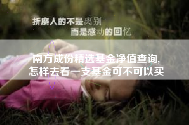 南方成份精选基金净值查询,
怎样去看一支基金可不可以买