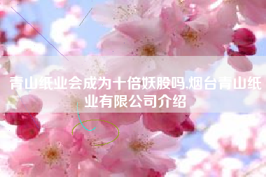 青山纸业会成为十倍妖股吗,烟台青山纸业有限公司介绍