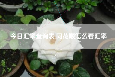 今日汇率查询表,同花顺怎么看汇率