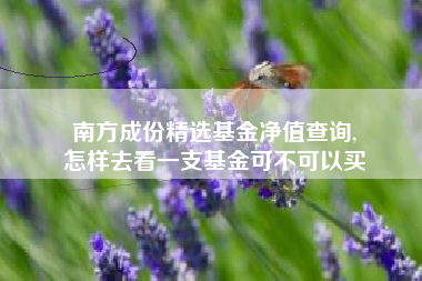 南方成份精选基金净值查询,
怎样去看一支基金可不可以买
