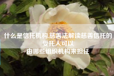 什么是信托机构,慈善法解读慈善信托的受托人可以
由哪些组织机构来担任 什么是信托机构,慈善法解读慈善信托的受托人可以
由哪些组织机构来担任