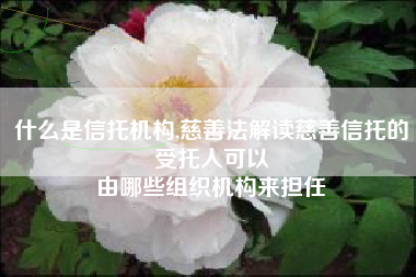 什么是信托机构,慈善法解读慈善信托的受托人可以
由哪些组织机构来担任 什么是信托机构,慈善法解读慈善信托的受托人可以
由哪些组织机构来担任