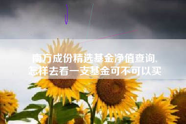 南方成份精选基金净值查询,
怎样去看一支基金可不可以买