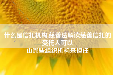 什么是信托机构,慈善法解读慈善信托的受托人可以
由哪些组织机构来担任 什么是信托机构,慈善法解读慈善信托的受托人可以
由哪些组织机构来担任