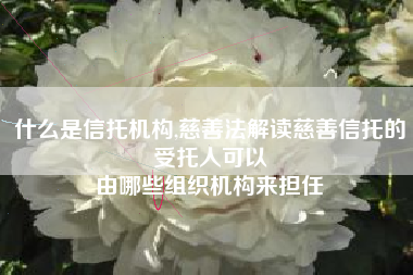 什么是信托机构,慈善法解读慈善信托的受托人可以
由哪些组织机构来担任 什么是信托机构,慈善法解读慈善信托的受托人可以
由哪些组织机构来担任