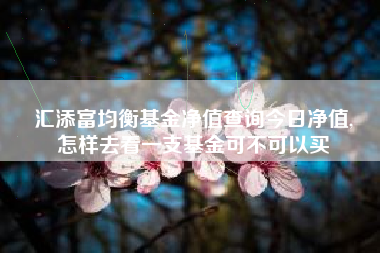 汇添富均衡基金净值查询今日净值,
怎样去看一支基金可不可以买