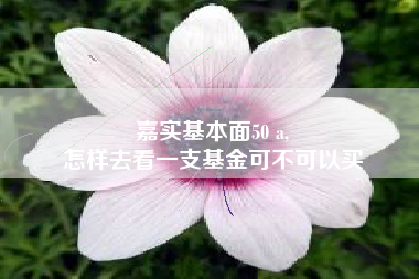 嘉实基本面50 a,
怎样去看一支基金可不可以买