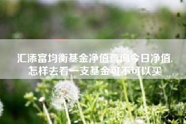 汇添富均衡基金净值查询今日净值,
怎样去看一支基金可不可以买