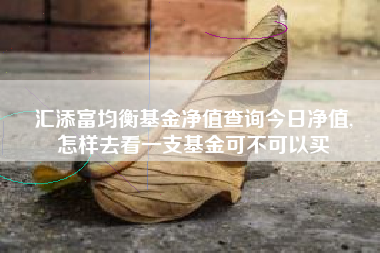 汇添富均衡基金净值查询今日净值,
怎样去看一支基金可不可以买