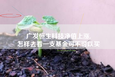 广发恒生科技净值上涨,
怎样去看一支基金可不可以买