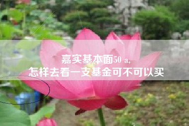 嘉实基本面50 a,
怎样去看一支基金可不可以买