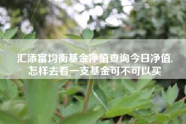 汇添富均衡基金净值查询今日净值,
怎样去看一支基金可不可以买