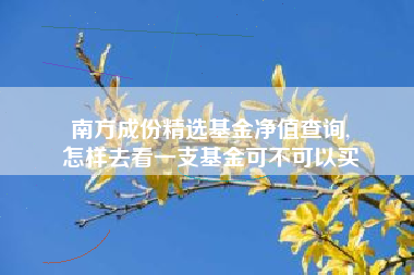南方成份精选基金净值查询,
怎样去看一支基金可不可以买