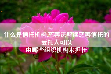 什么是信托机构,慈善法解读慈善信托的受托人可以
由哪些组织机构来担任 什么是信托机构,慈善法解读慈善信托的受托人可以
由哪些组织机构来担任