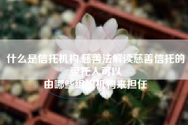 什么是信托机构,慈善法解读慈善信托的受托人可以
由哪些组织机构来担任 什么是信托机构,慈善法解读慈善信托的受托人可以
由哪些组织机构来担任