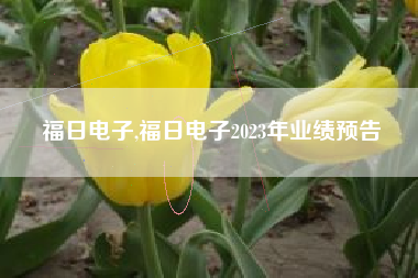 福日电子,福日电子2023年业绩预告