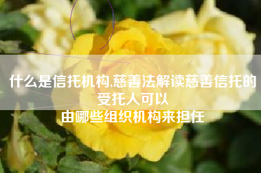 什么是信托机构,慈善法解读慈善信托的受托人可以
由哪些组织机构来担任 什么是信托机构,慈善法解读慈善信托的受托人可以
由哪些组织机构来担任