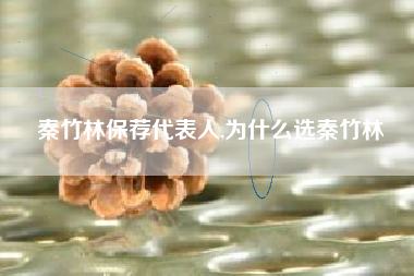 秦竹林保荐代表人,为什么选秦竹林