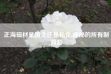 正海磁材是国企还是私企,神秘的所有制背后