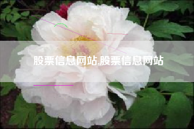 股票信息网站,股票信息网站