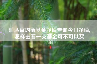 汇添富均衡基金净值查询今日净值,
怎样去看一支基金可不可以买