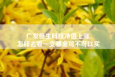 广发恒生科技净值上涨,
怎样去看一支基金可不可以买