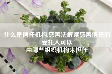 什么是信托机构,慈善法解读慈善信托的受托人可以
由哪些组织机构来担任 什么是信托机构,慈善法解读慈善信托的受托人可以
由哪些组织机构来担任