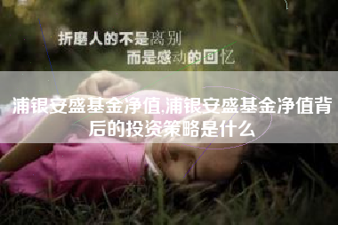 浦银安盛基金净值,浦银安盛基金净值背后的投资策略是什么