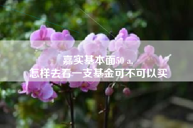 嘉实基本面50 a,
怎样去看一支基金可不可以买