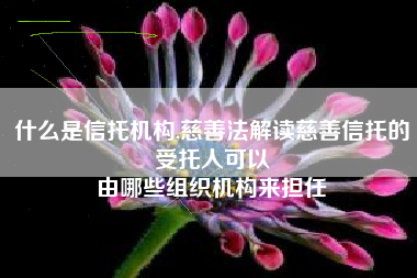 什么是信托机构,慈善法解读慈善信托的受托人可以
由哪些组织机构来担任 什么是信托机构,慈善法解读慈善信托的受托人可以
由哪些组织机构来担任