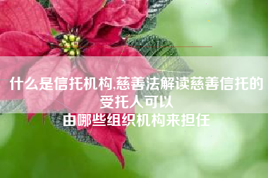 什么是信托机构,慈善法解读慈善信托的受托人可以
由哪些组织机构来担任 什么是信托机构,慈善法解读慈善信托的受托人可以
由哪些组织机构来担任