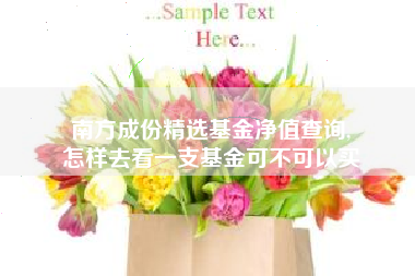 南方成份精选基金净值查询,
怎样去看一支基金可不可以买