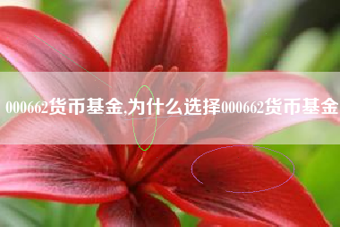 000662货币基金,为什么选择000662货币基金