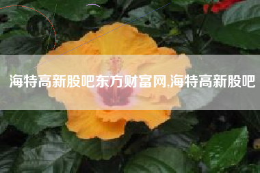 海特高新股吧东方财富网,海特高新股吧