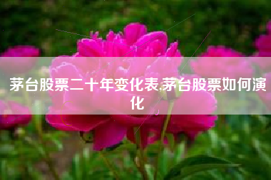 茅台股票二十年变化表,茅台股票如何演化