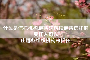 什么是信托机构,慈善法解读慈善信托的受托人可以
由哪些组织机构来担任 什么是信托机构,慈善法解读慈善信托的受托人可以
由哪些组织机构来担任