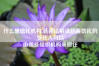 什么是信托机构,慈善法解读慈善信托的受托人可以
由哪些组织机构来担任 什么是信托机构,慈善法解读慈善信托的受托人可以
由哪些组织机构来担任