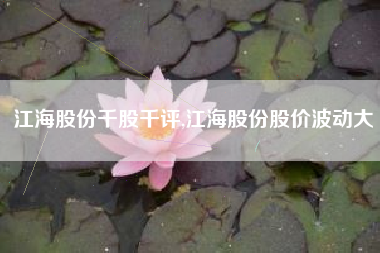 江海股份千股千评,江海股份股价波动大