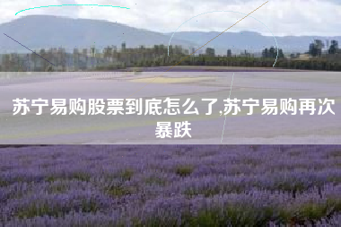 苏宁易购股票到底怎么了,苏宁易购再次暴跌